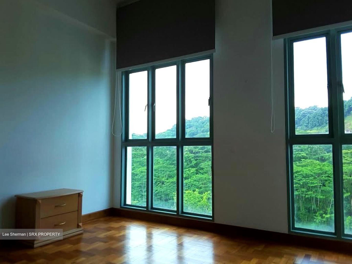 Hume Park II (D21), Condominium #554107631
